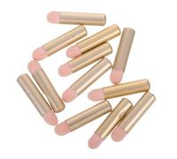 DRESSOOS 12pièces Mini Makeup Brush Set Compact Multi-use Eyeshadow Lip Concealer Applicators For Travel And Precise Application