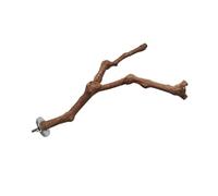 DRESSOOS 1pièce Perchoir pour Oiseaux Naturel Jouet Entraînement pour Perroquets Et Oiseaux De Compagnie Accessoire Et pour Éveiller De Oiseau Cage