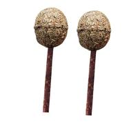 DRESSOOS 2pièces Sucettes Menthe pour Jouet à Mâcher Catnip Jouet Molaire Polygonum pour Marron