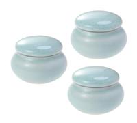 DRESSOOS 3pièces Mini Réservoir De Stockage De Crème Portable Flacon De Voyage Scellé Bleu