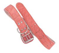 DRESSOOS Collier Élégant Tendance pour Chiots Chatons De 8 Semaines Respirant Confortable