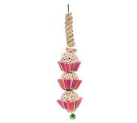 DRESSOOS Jouets pour Oiseaux Puzzle De Recherche De Nourriture pour Oiseaux Jouets À Déchiqueter pour Perroquets Jouet À Mâcher Suspendu pour Cage