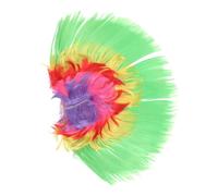 DRESSOOS Perruque De Carnaval Colorée Avec Crête Accessoire De Fête Amusant Pour Masquerade Performances Sur Scène Et Célébrations Festives