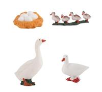 Dreuhuing Jouets Cycle de Vie,Décor Canard Préscolaire Scientifique Éducatif,Jouets Cycle de Vie du Canard - pour Étagères Pelouses Terrasses Jardin Aquariums Filles Garçons