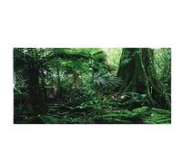 Drfeify Autocollant de Fond d'aquarium, Affiche de Poisson Auto-adhésive en PVC avec HD de Forêt Tropicale pour Aquariums et Terrariums (61 * 30CM)