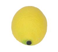 Drfeify Maraca Shaker aux Fruits, Jouet Musical en Plastique ABS coloré pour Les Tout-Petits avec Coins Arrondis, Formes de Fruits Réalistes pour la Coordination œil-Main et Le Développement