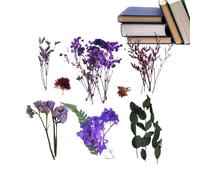 Dried Flower Bouquet - 17x12x3cm Dried Flowers with Stems | Preserved Drieds Wildflowers with Stems | Home Accessories for Dinner Table Christmas Fall Cake Party Bridal Market Garden