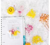 Dried Flowers Bookmarks Transparent Bookmarks With Colorful Tassels,Tweezers And Open Labels,Hand Dried Flowers,Bookmarks,Bookmarks,Glass Bottle Bookmarks (50 Pack)