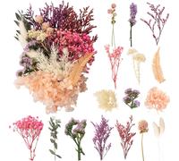 Dried Flowers,Natural Dried Flowers,Dried Flower for Candles,Dried Flowers,Loose Flowers,Dried Flowers,Decoration for DIY Epoxyn Resin Art,DIY,Crafts,Scrapbooking.[S300]