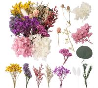 Dried Flowers,Natural Dried Flowers,Dried Flower for Candles,Dried Flowers,Loose Flowers,Dried Flowers,Decoration for DIY Epoxyn Resin Art,DIY,Crafts,Scrapbooking.[S301]