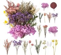 Dried Flowers,Natural Dried Flowers,Dried Flower for Candles,Dried Flowers,Loose Flowers,Dried Flowers,Decoration for DIY Epoxyn Resin Art,DIY,Crafts,Scrapbooking.[S303]