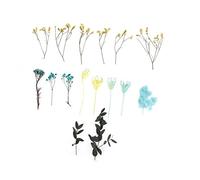 Dried Flowers Natural Odorless Exquisite Bouquet Making Materials DIY Dried Flowers for Tabletop Party Decoration