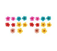 Dried Pressed Flowers Romantic Colorful Organic Soft Natural Decorations for Wedding Bouquets Home Decor 20pcs Mixed Color Full Shape