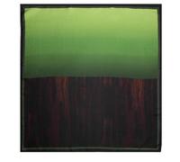 DRIES VAN NOTEN - Foulard - Vêtements Cannabis Patchouli 1 St.