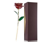 DriKou Love Forever Long Stem 24k Gold Foil Trim Red Rose, Flower Best Romantic Gift for Valentine Day Preserved Rose Personalised Anniversary for Women on Birthdays