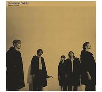 Drinking Flowers - New Swirled Order [Vinyl]