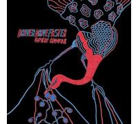 Driver Drive Faster - Open House [Import]