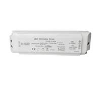 Driver LED 2 en 1 à intensité variable AC 220 V, DC 12 V/24 V, 20 W, 40 W, 60 W, Triac et variateur 0-10 V.