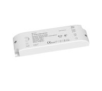 Driver LED dimmable 40 W/75 W, alimentation 12 V/24 V CA, variateur à bouton-poussoir, télécommande RF 2,4 GHz(1CH 24V 40W1)