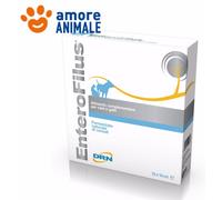 DRN Enterofilus 12 Ampoules De ML.10 - Supplément Intestinale Chiens Chats X