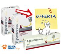 DRN EPATO 750 Plus Pasta Pour Chat - Soins Troubles Hépatiques 2x15 ml