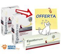 DRN Hépato 750 Plus → 30 Cpr Pâtes pour Chat - Soin I Émeutes Problèmes de Foie