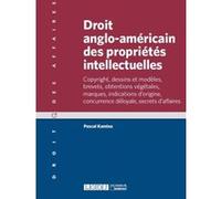Droit anglo-américain des propriétés intellectuelles Pascal Kamina (Auteur)