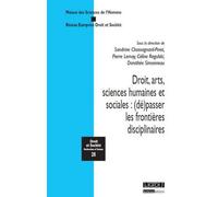 Droit, arts, sciences humaines et sociales : (dé)passer les frontières disciplin Sous la direction de sandrine chassagnard-pinet, pierre lemay, céline regulski, - Centre René Demogue - Lgdj - broché -