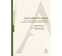 Droit collectif : cct et règlement de travail - Philippe Baudouin - Anthemis - broché - Etude