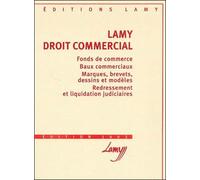 Droit Commercial. Fonds De Commerce, Baux Commerciaux, Marques, Brevets, Dessins Et Modeles, Redressement Et Liquidation Judiciaires