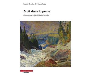 Droit dans la pente Montagne et collectivités territoriales - Nicolas Kada - Mare & Martin - broché - Etude