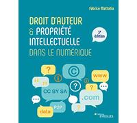 Droit d'auteur et propriété intellectuelle dans le numérique: 3E EDITION
