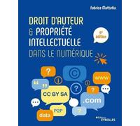 Droit d'auteur et propriété intellectuelle dans le numérique Fabrice Mattatia (Auteur)