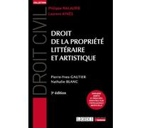 Droit de la propriété littéraire et artistique: Derniers arrêts et principes essentiels sur l'intelligence artificielle