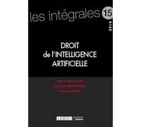 Droit de l'intelligence artificielle (2019) (Volume 15)
