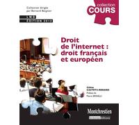 Droit de l'internet : droit français et européen - 2ème édition - Céline Castets-Renard - Lgdj - broché - Etude
