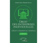 Droit des entreprises individuelles (Droit commercial général) 2ème édition Cheikh Abdou Wakhab Ndiaye (Auteur)
