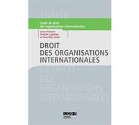 Droit des organisations internationales Evelyne Lagrange (Auteur), Jean-Marc Sorel (Auteur)