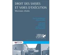 Droit des saisies et voies d'exécution
