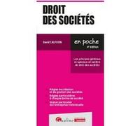 Droit des sociétés David Calfoun (Auteur)