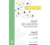 Droit Des Sociétés Et Des Groupements D'affaires Dcg Ue2 - Enoncé - Edition 2023-2024