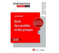 Droit des sociétés et des groupes: Intègre les dispositions de la loi PACTE (2019-2020)