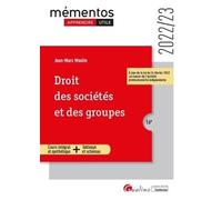 Droit des sociétés et des groupes: Un cours clair, structuré et accessible pour l'étudiant (2022-2023)
