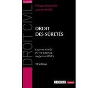 Droit des sûretés Laurent Aynès (Auteur), Augustin Aynès (Auteur), Pierre Crocq (Auteur)