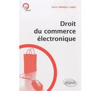 Droit du commerce électronique - Agnès Rabagny-Lagoa - Ellipses - broché - Etude