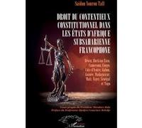 Droit du contentieux constitutionnel dans les États d’Afrique subsaharienne francophone Saidou Nourou Tall (Auteur), Théodore Holo (Avant-propos), Francisco Mélédje-Djedjro (Préface)