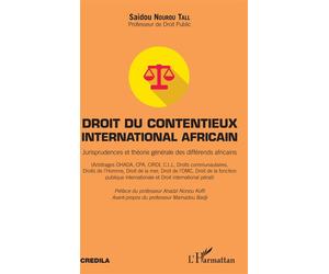 Droit du contentieux international africain Jurisprudences et théorie générale des différends africains - Saidou Nourou Tall - L'harmattan - broché - Etude