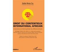 Droit du contentieux international africain Saidou Nourou Tall (Auteur)