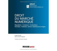 Droit du marché numérique: Régulation - Contenus - Contentieux Données - Publicité, vente et distribution en ligne