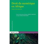 Droit du numérique en Afrique - Enjeux internationaux